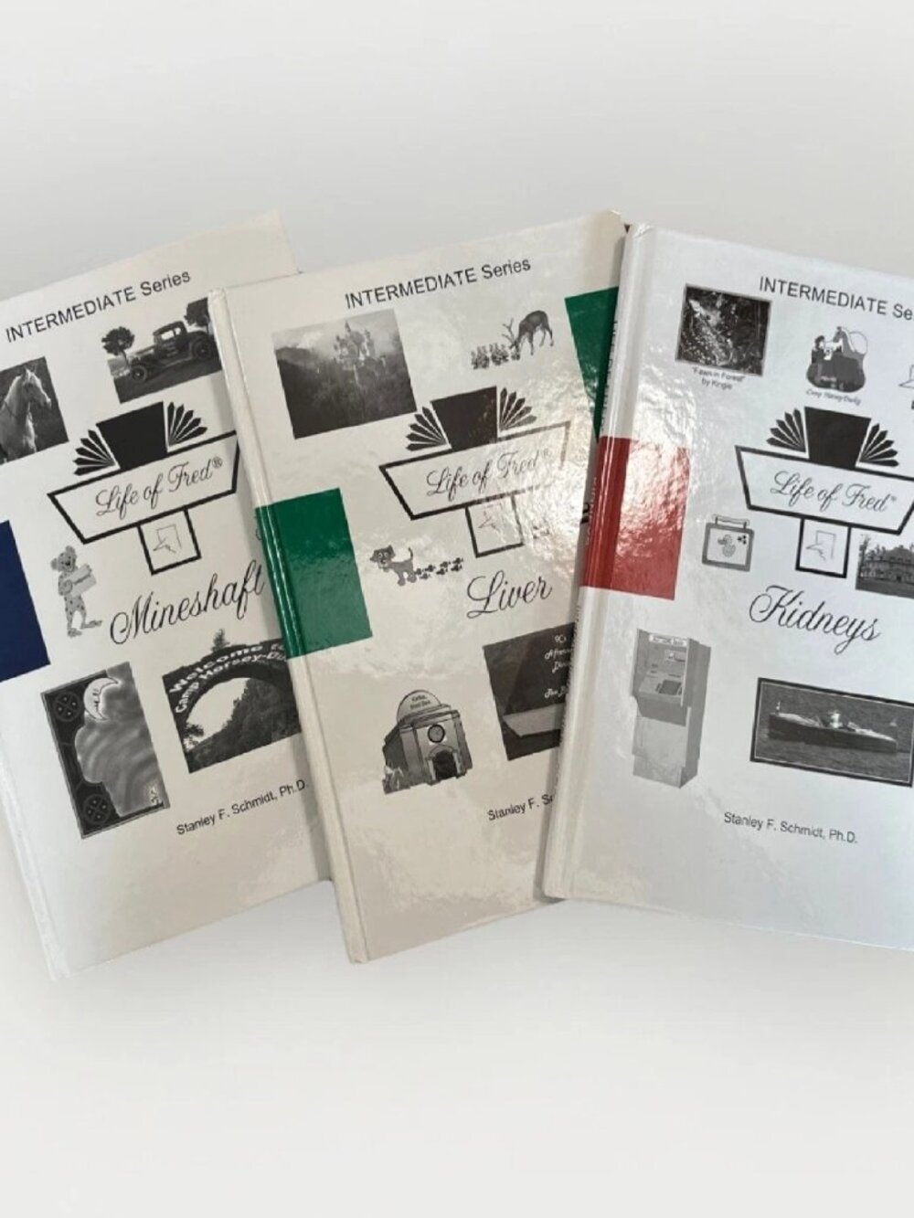 Life of Fred Intermediate Series Set of 3 Books for 5th 6th Grade Math